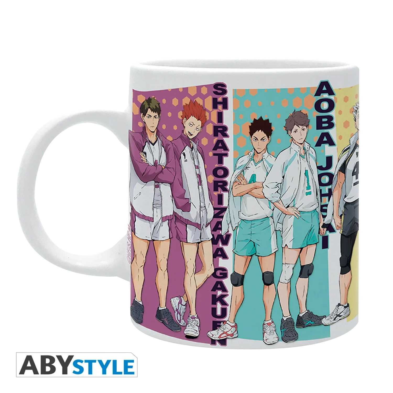 HAIKYU! Mug 320ML Rival Teams