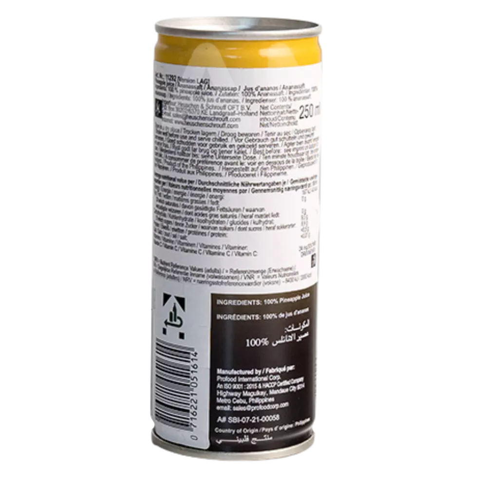 PHILIPPINE BRAND Ananasnektar Ds 250ML - Image 2