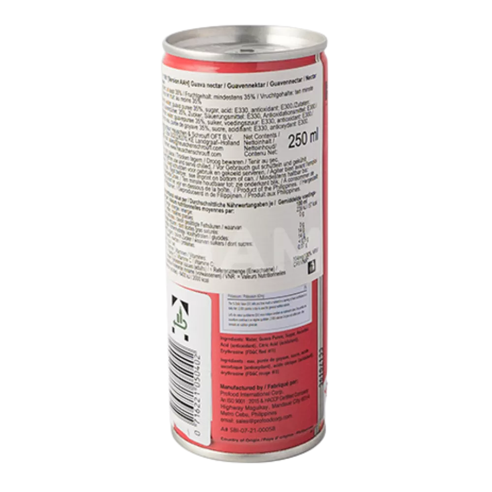 PHILIPPINE BRAND Guavanektar Ds 250ML - Image 2