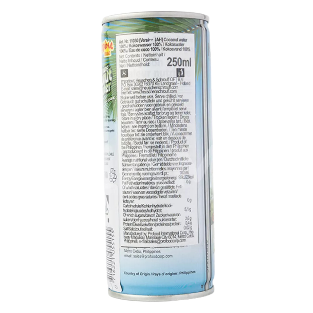 PHILIPPINE BRAND Kokoswasser Ds 250ML - Image 2